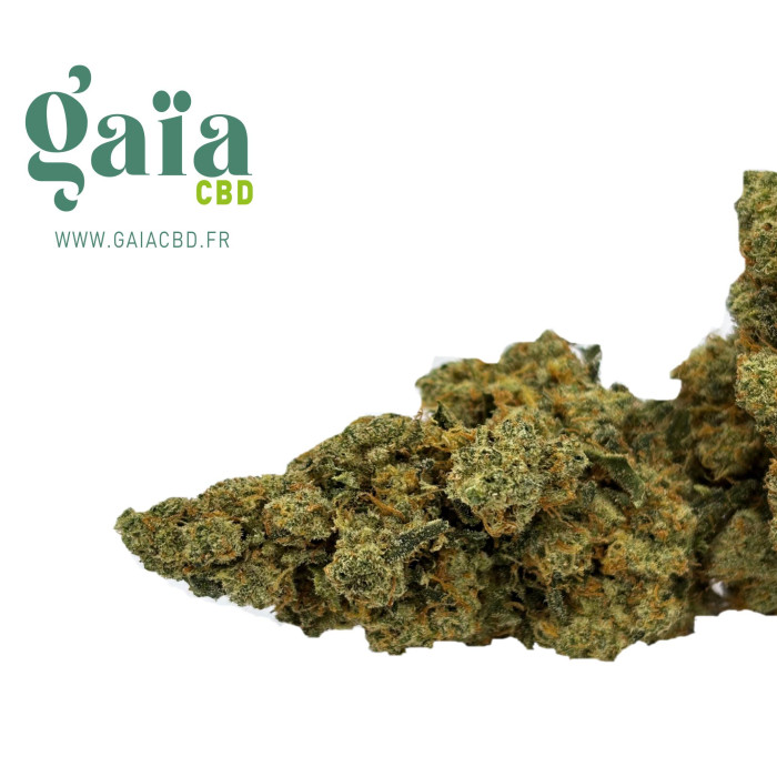 AMNE US GAIA CBD