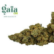 AMNE US GAIA CBD