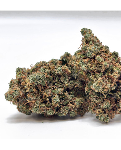 Bruce Banner indoor Premium++ 14%