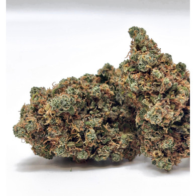 Bruce Banner indoor Premium++ 14%