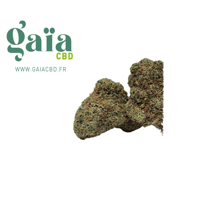 MIRACLE ALIEN COOKIE - Gaïa CBD