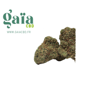 MIRACLE ALIEN COOKIE - Gaïa CBD