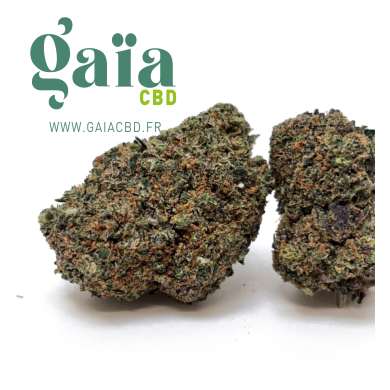 CALI - Gorilla Mandarina (ZKT) CBD