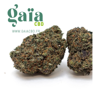 CALI - Gorilla Mandarina (ZKT) CBD