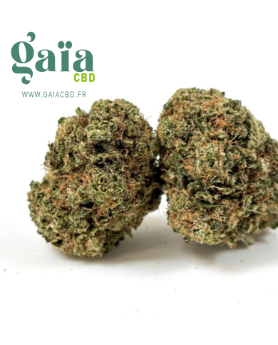 💥NEW CALI !!🍋  LEMON SKITTLEZ indoor CALI