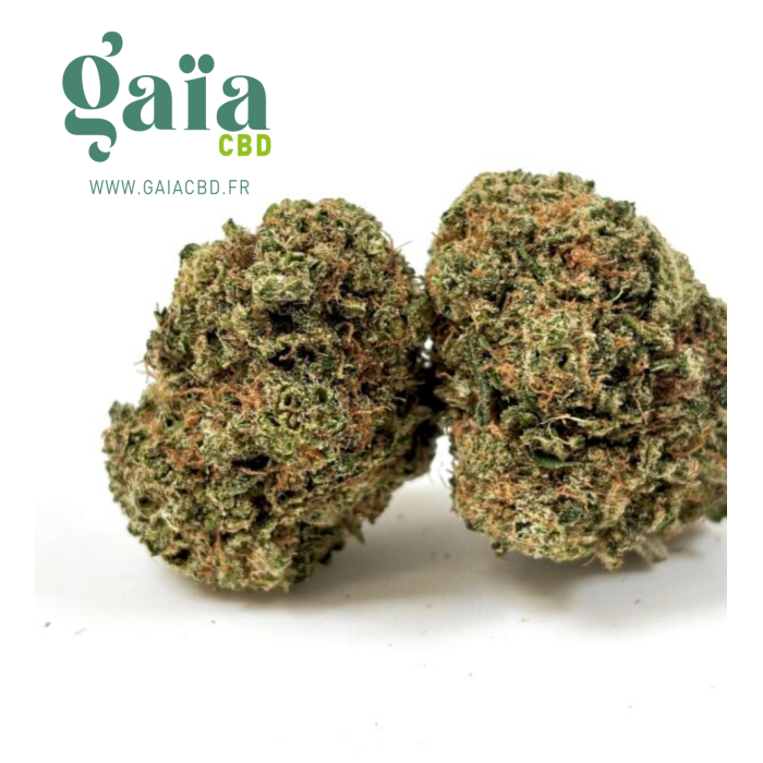 💥NEW CALI !!🍋  LEMON SKITTLEZ indoor CALI