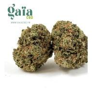 💥 New - Ice Cream Cake (ICC) – Cali Indoor Hydro (En rupture)