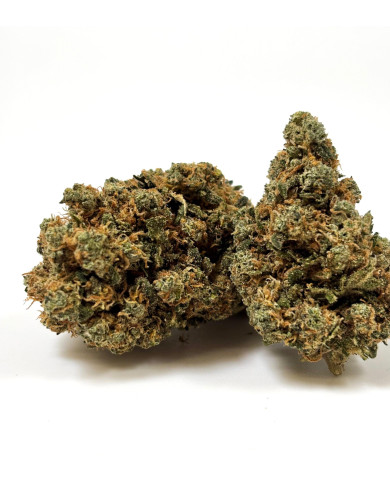 💥 Bruce Banner indoor Premium++ 14% (En rupture)