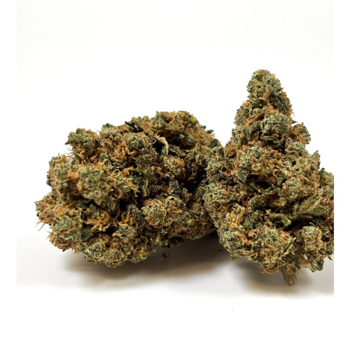 💥 Bruce Banner indoor Premium++ 14% (En rupture)