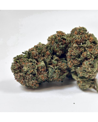 💥 NEW ! Strawberry Diesel – Indoor Premium ++