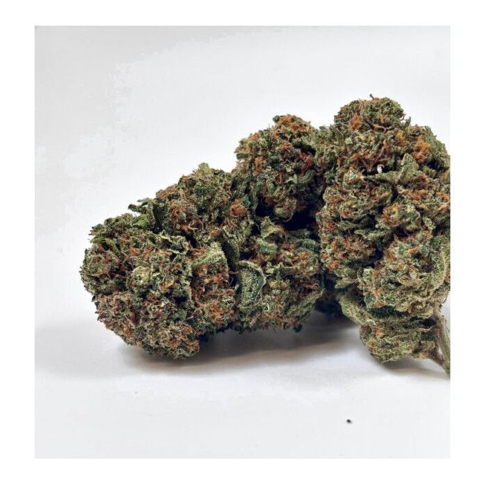 💥 NEW ! Strawberry Diesel – Indoor Premium ++