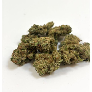 💥 NEW ! G13 HAZE PREMIUM++ Small Buds