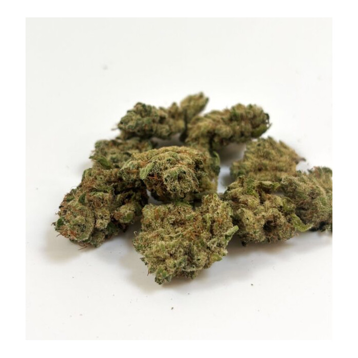 💥 NEW ! G13 HAZE PREMIUM++ Small Buds