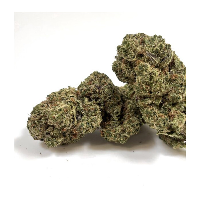 Gaïa CBD WHITE SHARK