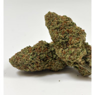 Gaïa CBD Bubble Gum