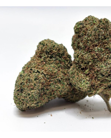 MAC ALIEN COOKIE GAIA CBD