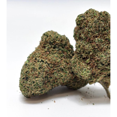 MAC ALIEN COOKIE GAIA CBD