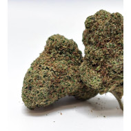 MAC ALIEN COOKIE GAIA CBD