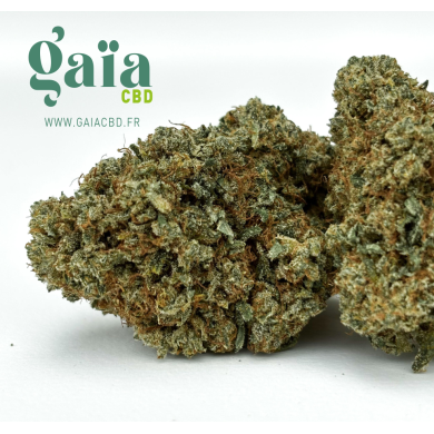 KOSHER KUSG LOGO GAIA SITE