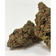 blue gelato gaia cbd