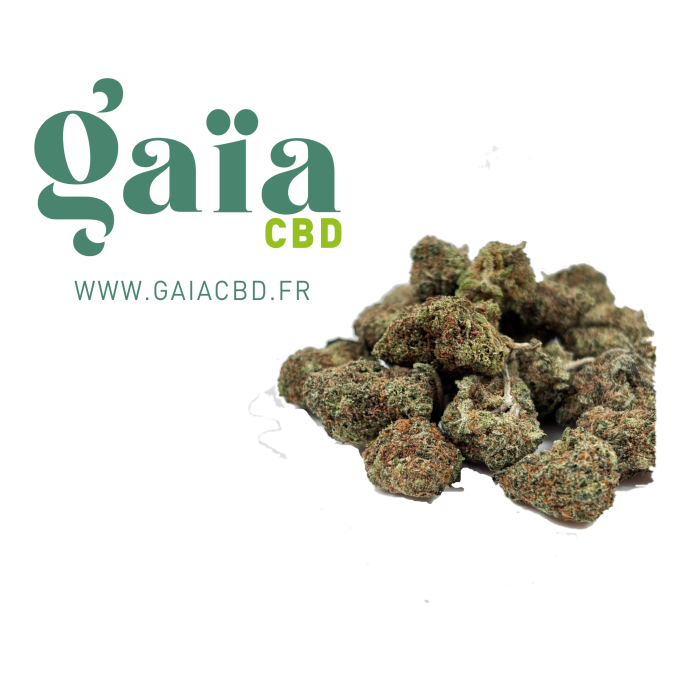 Cherry Lemonade Gaia cbd
