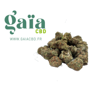 Cherry Lemonade Gaia cbd