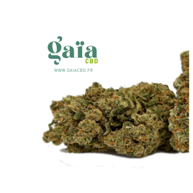sour diesel gaia cbd 2026