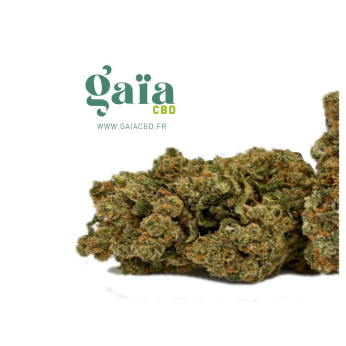 sour diesel gaia cbd 2026