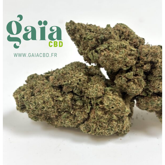 exotika kush gaia cbd