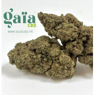 exotika kush gaia cbd