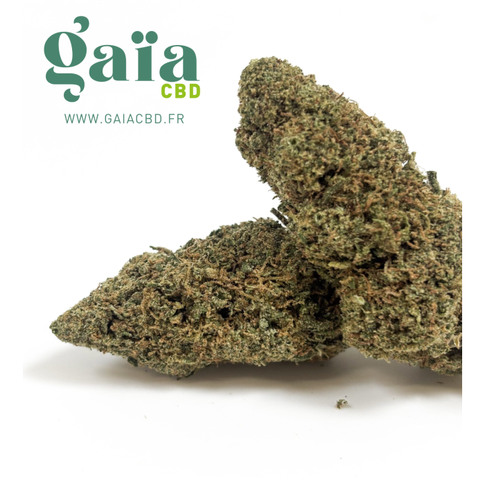 sunset haze gaia cbd