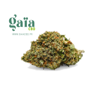 critikal gaia cbd