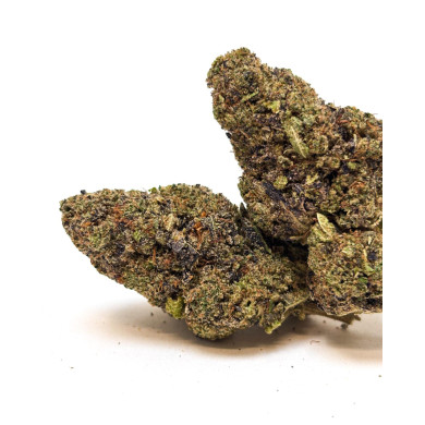 💥RETOUR ! Snow OG  💥Pépite 21%  CBD