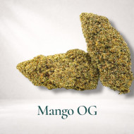 MANGO OG GAIA CBD