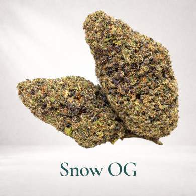 SNOW OG GAIA CBD
