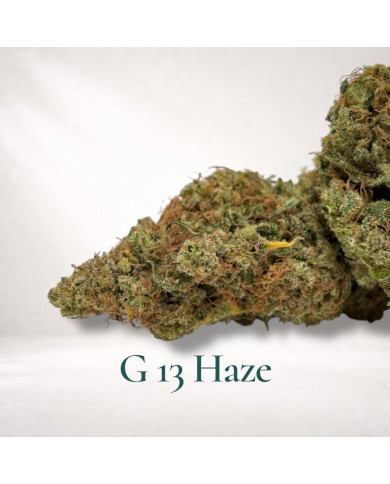 G13 GAIA CBD