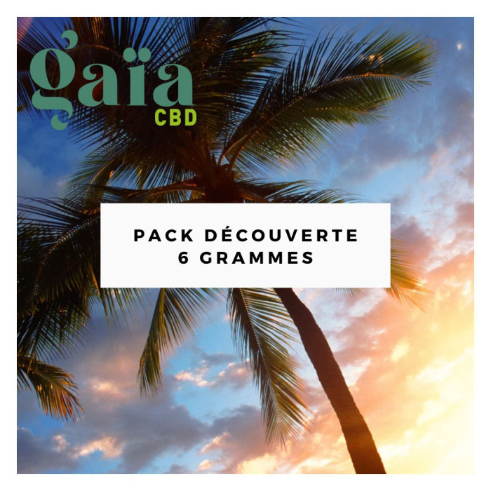 PACK GAIA 🌴 CALIFORNIA 🌴