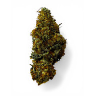 💥NEW LOT ! AMNESIA US 💥