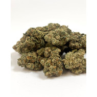 💥 NEW ! Critical 2.0 Indoor premium – Small buds