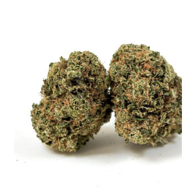 💥Retour ! LEMON CALI  💥