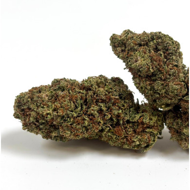 Gaia-cbd-White-Diesel-big-buds-premium