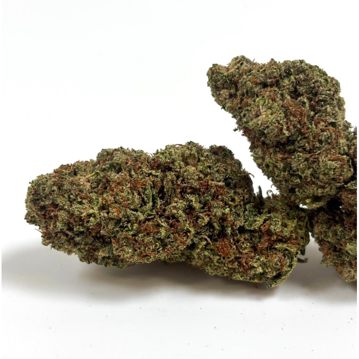Gaia-cbd-White-Diesel-big-buds-premium
