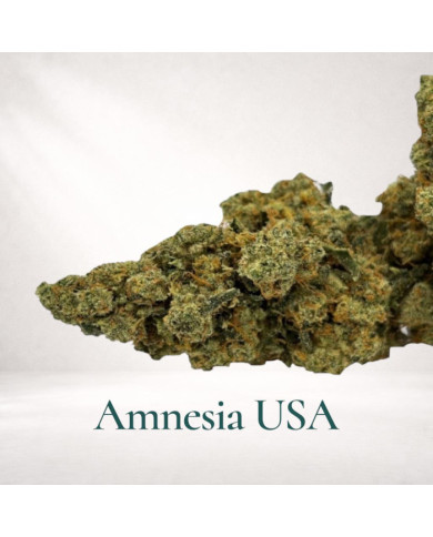 amneisa-cbd-premium-fleur-