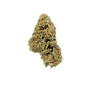 forbidden,-fruit-gaia-cbd-lille-comines-halluin-