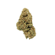 forbidden,-fruit-gaia-cbd-lille-comines-halluin-