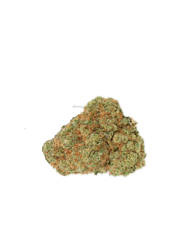 papaya-cali-gaia-cbd-premium-fleur-comines-halluin-lille-nord