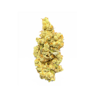 pineapple snowcone 7