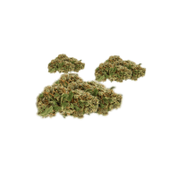 💥NEW ! White Diesel Indoor Premium ++
