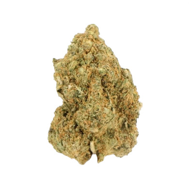 White-truffle-gaia-cbd-premium