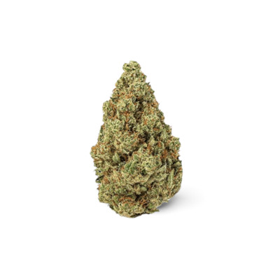 💥NEW ! AMNESIA 2.0💥 indoor Hydro